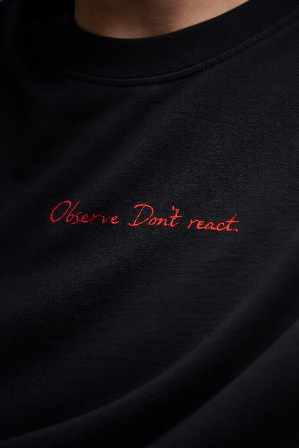 Camiseta El observador