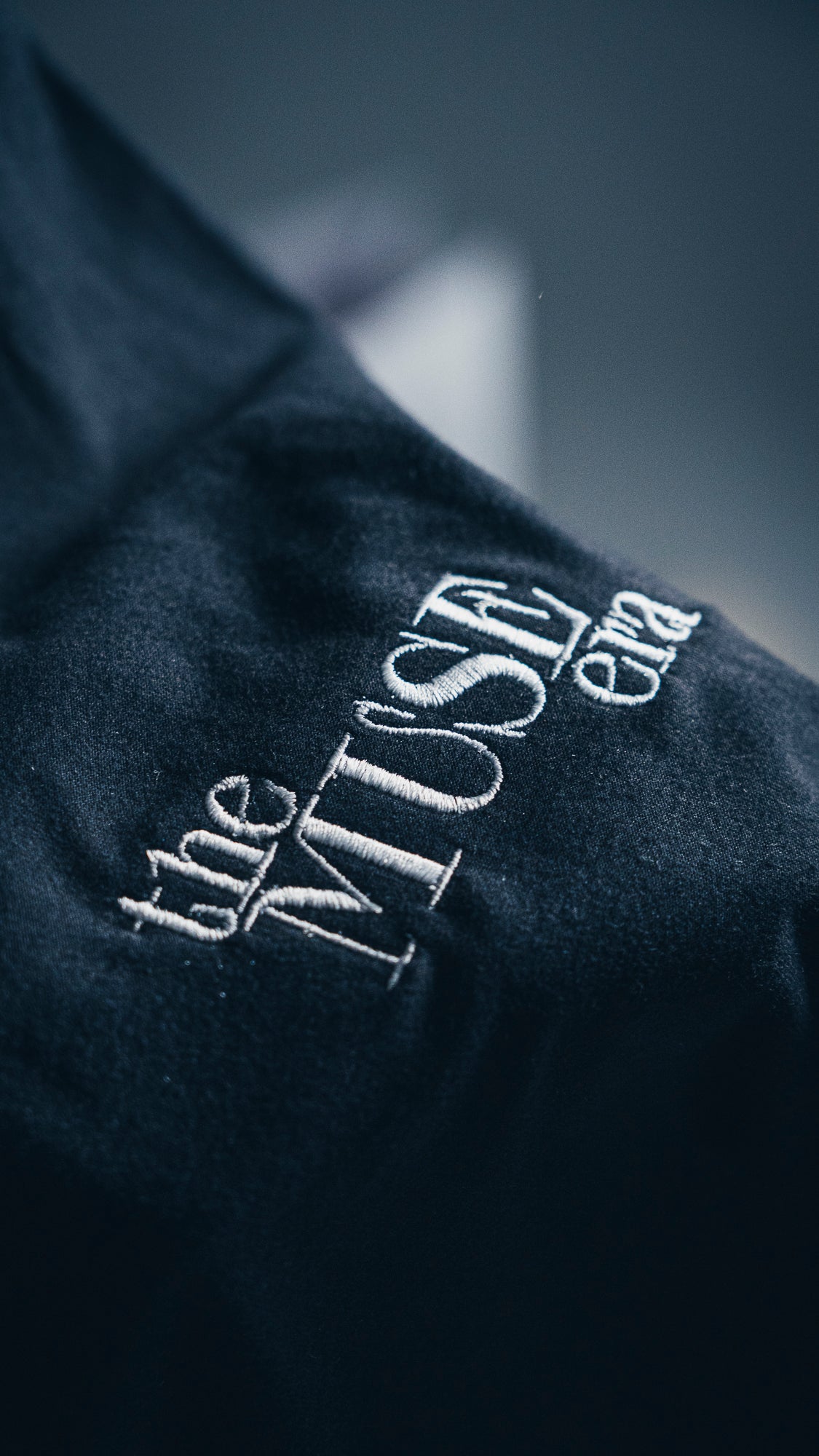 Camiseta Vine, lo vi y vencí
